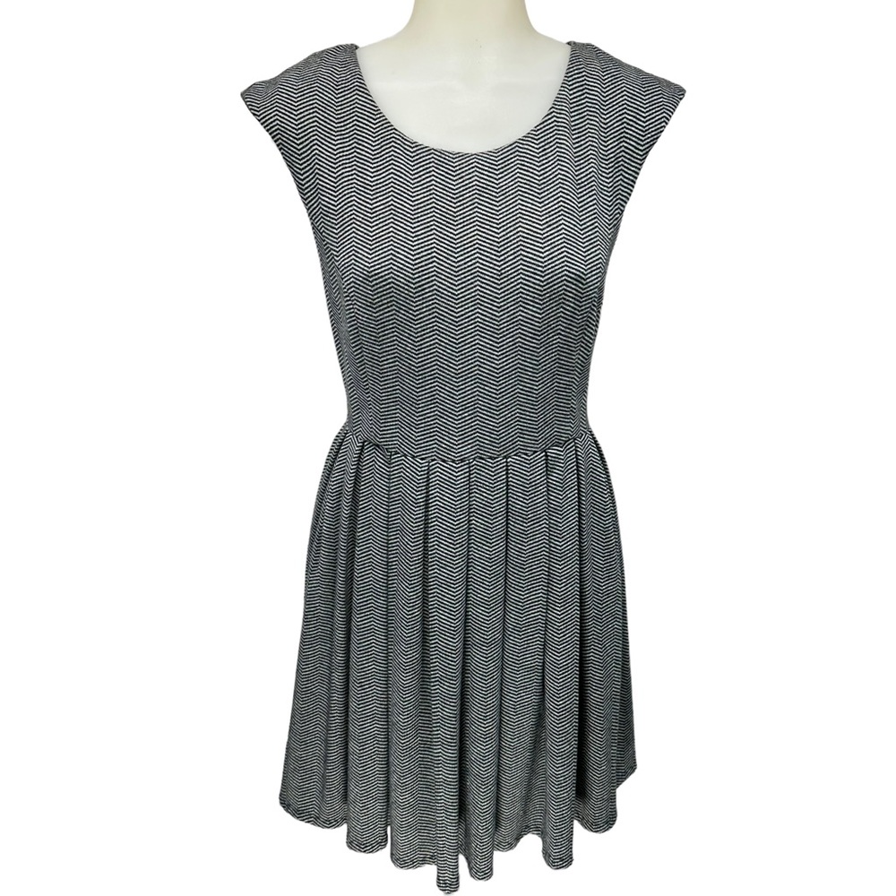 COOPERATIVE Dress Size 2 Fit n Flare Swing Sleeveless scoop neck Back Zip Lined